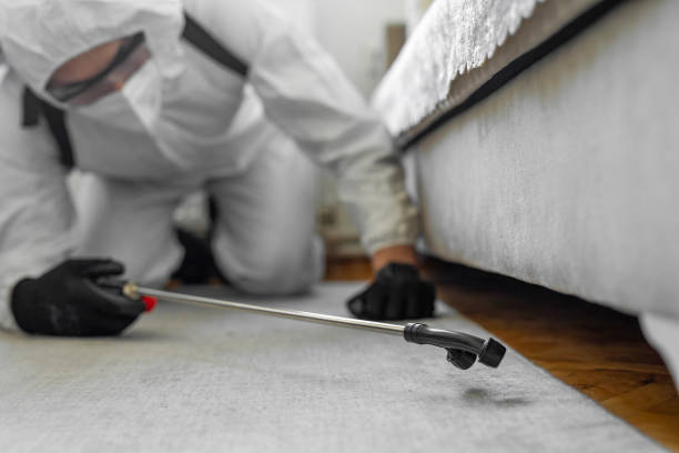 Professional Termite Control technician working in Ivey, GA