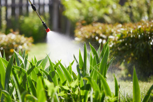 24/7 Emergency Termite Control experts in Ivey, GA