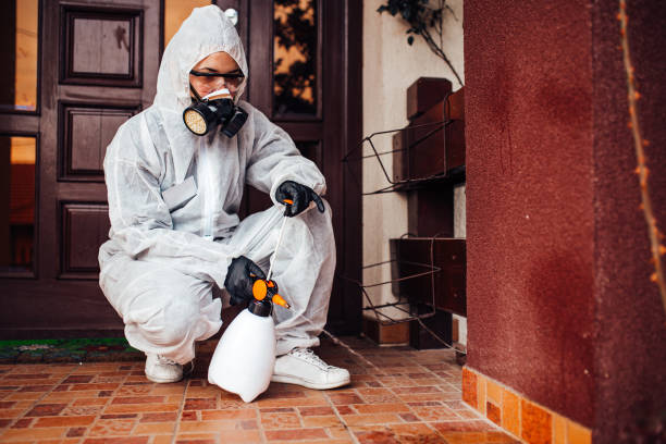 Reliable Termite Control contractor in Ivey, GA by Nex Pest Control